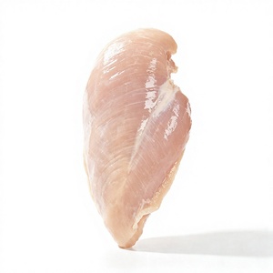 Pechuga de Pollo <span class=keywords><strong>Halal</strong></span> BQF Sin Hueso Congelada Empaquetada a Granel en Bolsas - Product Image 1