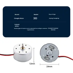 Kunden spezifischer 300 DC Bürsten motor Solar lüfter 36V mit Permanent magnet konstruktion Kleine Brunnen kappe und Mikro lautsprecher - Product Image 3