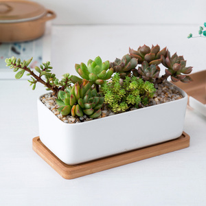 Décor <span class=keywords><strong>à</strong></span> la maison Bonsaï Pots <span class=keywords><strong>Blanc</strong></span> 6.7 Pouces Succulentes Cactus <span class=keywords><strong>Rectangulaire</strong></span> Jardinières En Céramique Avec Plateau En Bambou - Product Image 4