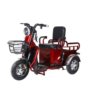 Factory New 3 Wheel Electric Cargo Trike 48V/20Ah Adult Electric Tricycle For 2 People