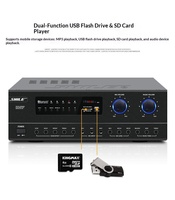 Kit combiné amplificateur/microphone pour salle de réunion professionnelle SHILE AV108 BX119, système audio de divertissement KTV à domicile
