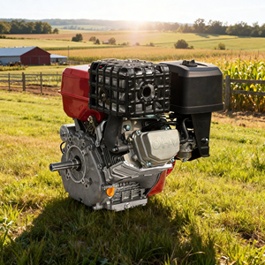 Motor <span class=keywords><strong>de</strong></span> <span class=keywords><strong>Gasolina</strong></span> Monocilíndrico Todoterreno <span class=keywords><strong>de</strong></span> 22 HP y 550 cc OHV <span class=keywords><strong>de</strong></span> <span class=keywords><strong>4</strong></span> <span class=keywords><strong>Tiempos</strong></span> con Arranque Eléctrico y <span class=keywords><strong>de</strong></span> Retroceso para Unidad <span class=keywords><strong>de</strong></span> Potencia Hidráulica / <span class=keywords><strong>Desbrozadora</strong></span> <span class=keywords><strong>de</strong></span> Troncos - Product Image 5
