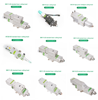 BM111-2D 3kw Raytools Torche de découpe laser à fibre à mise au point automatique, état neuf, prix compétitif pour la découpe de métaux à longueur d'onde de 1064 nm