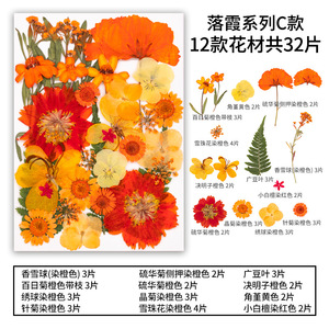 18-32pcs/pack <strong>Sunset</strong> Clouds Series Pressed <strong>Flower</strong> Mix Packs DIY Art Crafts Making Natural Plant Eco-friendly - Product Image 4