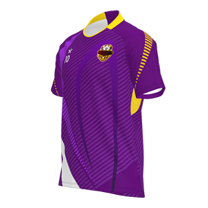 Ystar hoogwaardige fabrieksvoetbalshirts retro stijl nieuw seizoen voetbaltenue op maat gemaakte voetbalteamlogo uniform te koop - Product Image 4