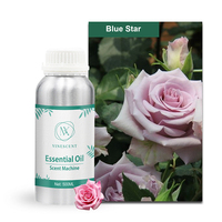 Vente en gros d'huile aromatique longue durée de luxe Huile de parfum parfumée sans eau Huile de parfum concentrée pour diffuseur de parfum