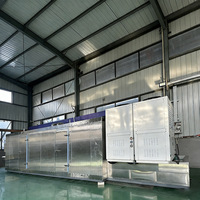 Industriële 500KG/H tunnelvriezer met hoge efficiëntie voor snelvriezen van vis en schaal- en schelpdieren (IQF)