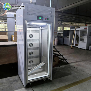 Armoire de décongélation rapide à sortie rapide pour <span class=keywords><strong>produits</strong></span> congelés d'usine alimentaire - Product Image 6