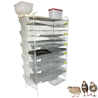 Nouvelle cage à cailles de type H, durable, galvanisée à froid, avec système d'alimentation automatique, capacité de 360 oiseaux, 6 niveaux