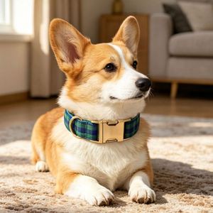 Collar de poliéster de grado exportación para perro, ajustable, cómodo, con lazo decorativo, de lujo, listo para exhibir, pedido de muestra - Product Image 2