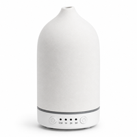 SCENTCARES Logo personnalisé vide électronique céramique parfum diffuseur personnel huile essentielle pierre humidificateur électrique ménage