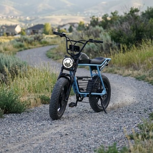 Vélo électrique à cadre bas, vélo électrique à pneus larges facile à monter pour les femmes - Product Image 6