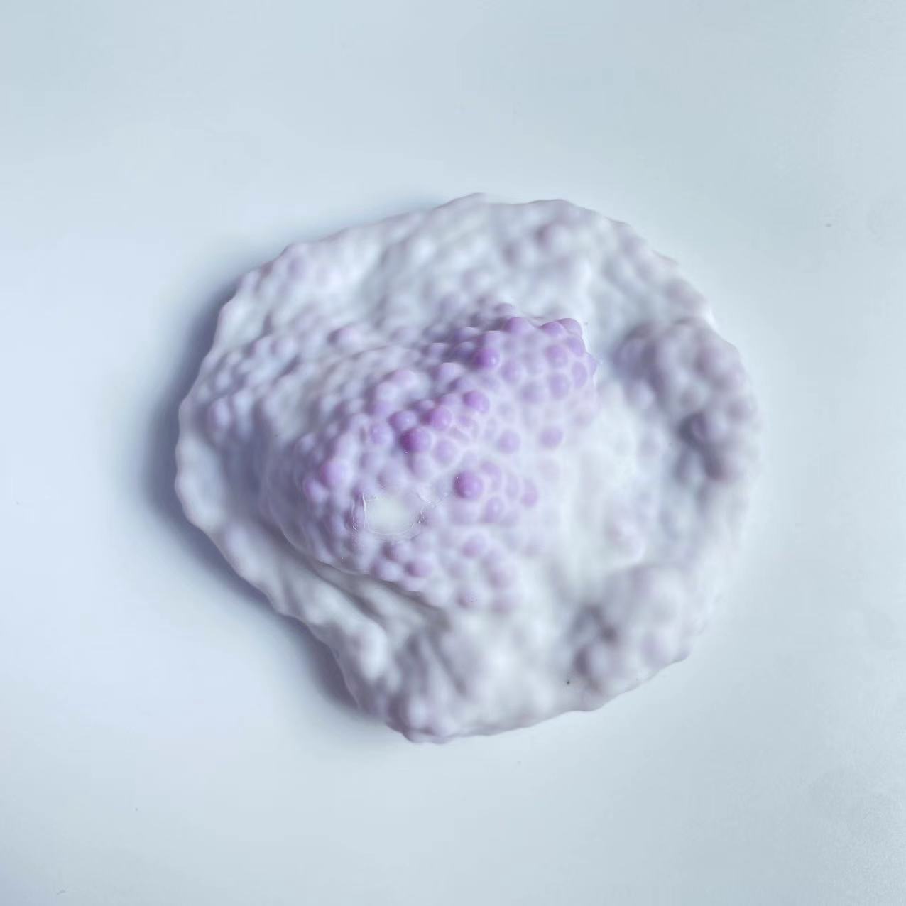 Gâteau de riz gluant [petite perle violette] 6cm