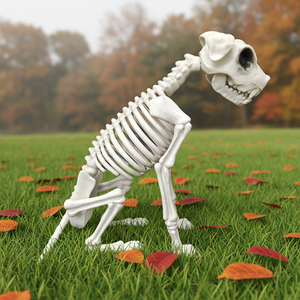 <b>Plastic</b> Dog Skeleton Anatomy Acupuncture Medical Veterinarian Acupuncture Anatomical Model <b>Animal</b> Skeleton Model - Product Image 3