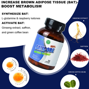 Viên nang giảm cân đốt cháy mỡ nhanh, nhãn hiệu riêng OEM, giảm cân tự nhiên, dành cho người lớn, không dành cho phụ nữ có thai - Product Image 5