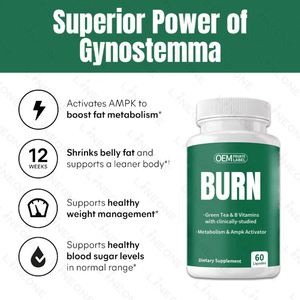 Capsules de gestion du poids de thé vert et de vitamines B d'extrait de plantes naturelles OEM ODM pour les femmes fonction de produit de beauté de supplément - Product Image 4