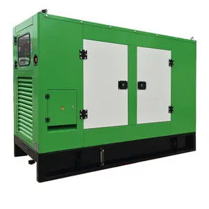 Lpg Gas Generator Permanent Working Power Plant Electric Green Power 100kW Silent LPG LNG Natural Gas Biogas Powered Generator