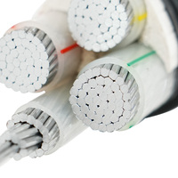 Kunden spezifisches Xlpe Pvc-isoliertes massives gepanzertes Aluminium kabel 3-phasig 3 4 5-adrig 50mm ² 70mm ² 95mm ² Stromkabel YJLV-Stromkabel