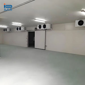 Cámara Frigorífica para la Conservación de Zanahorias y Vegetales con Paneles Solares, Compresores Copeland/Emerson, Control Digital y Control Remoto - Product Image 3