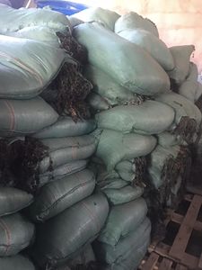 Wholesale <b>Dried</b> Sea Moss (Cottoni Seaweed) Sargassum Vietnam Food Grade Sea <b>Vegetables</b> - Product Image 3