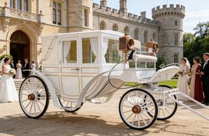 Calèche royale/Idéale pour les célébrations et les événements/Fournit une personnalisation sur mesure pour le luxe - Product Image 3