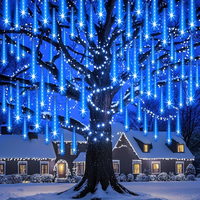 Guirlande lumineuse LED à haute luminosité pour décoration extérieure permanente, idéale pour les festivals toute l'année