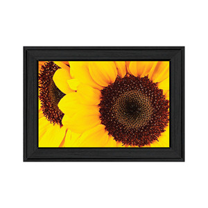 HMS girasole ritratto nero incorniciato in legno legno artigianale arte da parete scatole di legno e segni da parete categoria di prodotto - Product Image 2