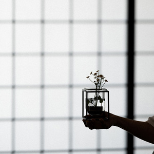 แจกันดอกไม้ขนาดเล็กจิ๋ว, แจกันแก้วสำหรับปลูกพืชไร้ดิน, ของตกแต่งห้องนั่งเล่นแบบเรียบง่ายและทันสมัย - Product Image 4