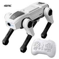 Robot Anjing Edukasi 4DRC Y19 2.4G Remote Control Mainan Interaktif Mobil Semprotan Kabut Elektrik Robot Bionik RC Pintar dengan Lampu dan Musik
