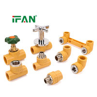 Service OEM ODM IFAN, tuyaux et raccords PPR, raccords filetés en métal, résistants à la haute pression, résistants à la corrosion