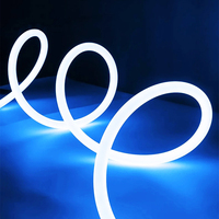 Bande LED néon ronde de 20 mm de diamètre, IP65, silicone fin et flexible, éclairage à 360 degrés, DC 24/12V, 120 LED/m