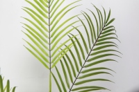 180cm Pygmäen Datum Palm Faux Palm Baum Künstliche Pflanzen Bäume Indoor Dekoration