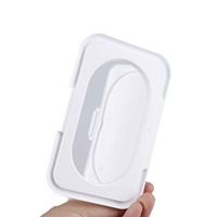 Lingettes humides ovales en PP, directement de l'usine, avec couvercle à clapet anti-poussière pour pochettes de lingettes désinfectantes, couleur personnalisée