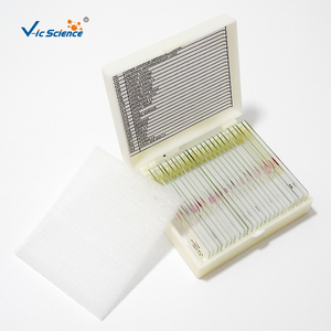 กบตัวอ่อนเตรียมกล้องจุลทรรศน์สไลด์28<span class=keywords><strong>รายการ</strong></span>กล้องจุลทรรศน์ทางชีววิทยาเพื่อการศึกษาภาพนิ่งกบการพัฒนาตัวอ่อน - Product Image 5