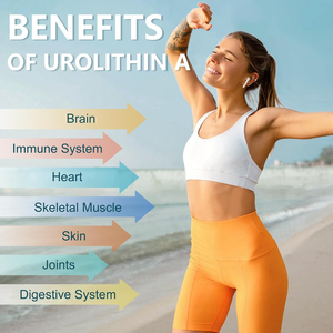 Urolithin A Softgel Supplément pour l'énergie musculaire Antioxydants Vegan Haute Biodisponibilité, Soutient le système immunitaire et les articulations saines - Product Image 3