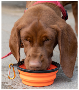 Portable 650ml Pet <strong>Bowl</strong> for Cats <strong>Dogs</strong> Collapsable Silicone PC <strong>Personalized</strong> for Small Animals Rubber Water <strong>Bowls</strong> for Easy Feeding - Product Image 1