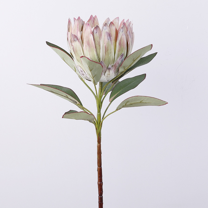 3D Single Emperor Protea [Green]
