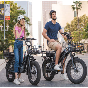 2023 gran oferta 48V 750W batería de litio aleación de acero 7 velocidades 24 "Rueda 3000Wh Ebike bicicleta eléctrica de carga de neumáticos gruesos - Product Image 5