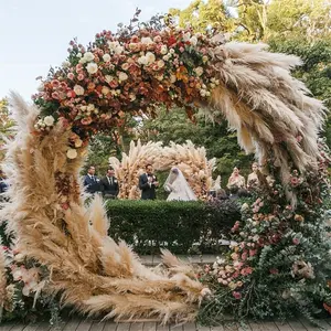 Hot Selling G-1075 Wedding Boho Beige Dried Natural Reeds Pampas Grass For Decoration