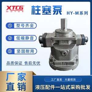 Pompe à pistons axiaux hydrauliques Hy10m Rp Lp 350 Bar 1 étage à arbre vertical pour systèmes hydrauliques - Product Image 4