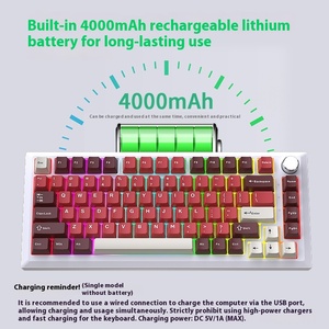 Hjsdzhi Dk75 RGB Đường Viền 4.0 Bàn Phím Cơ Khí 2.4G Bluetooth/Không Dây/Ba-Chế Độ Gasket Cho Chơi Game - Product Image 4