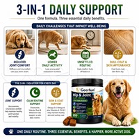 OEM ODM Friandises à mâcher souples saveur poulet pour chiens, soutien quotidien pour les articulations, confort des articulations, supplément de glucosamine pour chiens