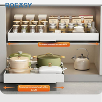 ROEASY Organisateur d'armoires de cuisine Panier à tiroir coulissant Plateau à épices divisé Panier de rangement intégré polyvalent