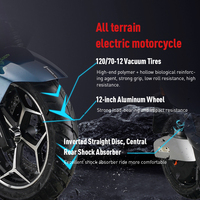 Yeni yetişkin elektrikli Scooter ucuz 2 koltuk iki tekerlekli elektrikli motosiklet