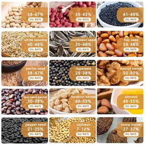 Prensa de Aceite Multifuncional 6YL 360/120 para Macadamia, Ideal para Áreas Rurales, Motor 125 SASeme, Producción de Aceite de Semillas de Sándalo y Oliva - Product Image 5