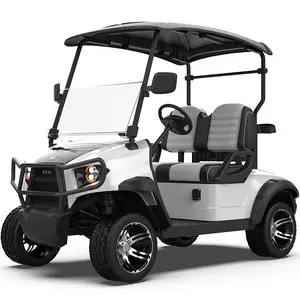Achterbank Elektrische Golfkarretjes Fabriek Leveren Nieuw Ontwerp Hoge Kwaliteit H Model 2 + 2 48V Prijzen Elektrische Golfwagen 3 - 4 500Kg