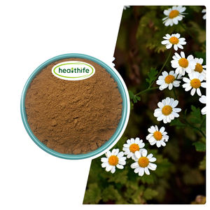 Healthife Supply 1%-5% Natural <span class=keywords><strong>Parthenium</strong></span> Feverfew Extracto de hierbas en polvo - Product Image 1