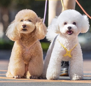 Arnés para mascotas de cuero PU ajustable de lujo 2025, chaleco ecológico sin tirones para perros y arnés de cinturón para cachorros y perros que caminan - Product Image 2