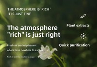 Désodorisant de voiture de grande capacité de haute qualité boîte-cadeau diffuseur et purificateur de roseau de parfum solide pour l'air frais