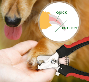 Outil de toilettage pour chats et animaux <span class=keywords><strong>ciseaux</strong></span> à ongles en acier inoxydable pour chiens et animaux de compagnie - Product Image 4
